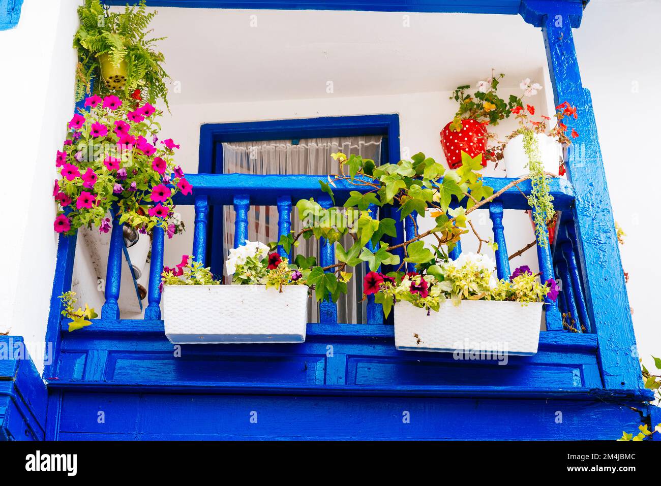 Balcone blu con vasi di fiori. Tazones, Principato delle Asturie, Spagna, Europa Foto Stock