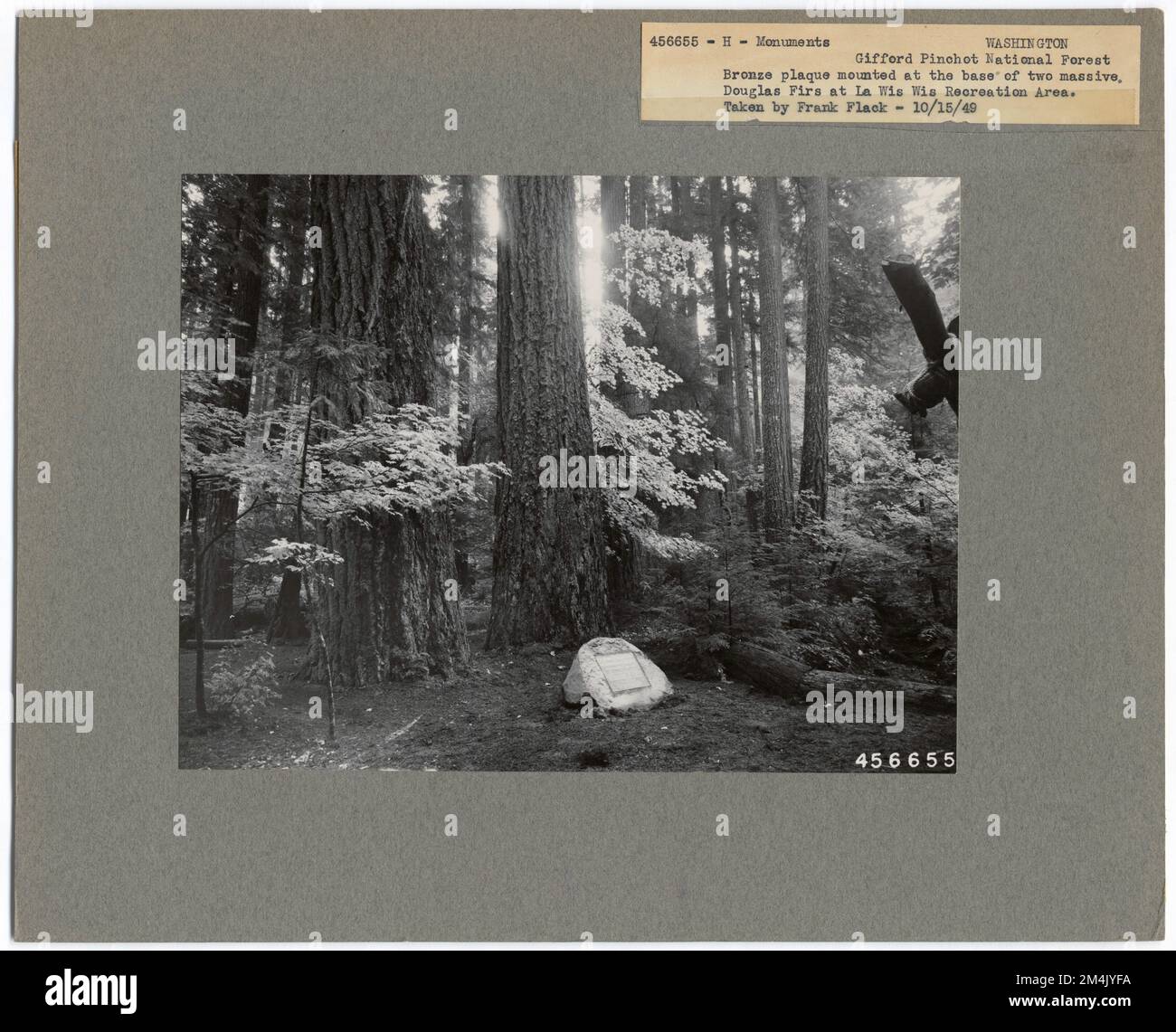 Monumenti storici - Washington. Fotografie relative alle foreste nazionali, alle pratiche di gestione delle risorse, al personale e alla storia culturale ed economica Foto Stock