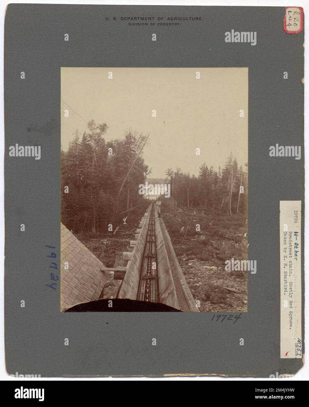 Monumenti storici - Generale. Fotografie relative alle foreste nazionali, alle pratiche di gestione delle risorse, al personale e alla storia culturale ed economica Foto Stock