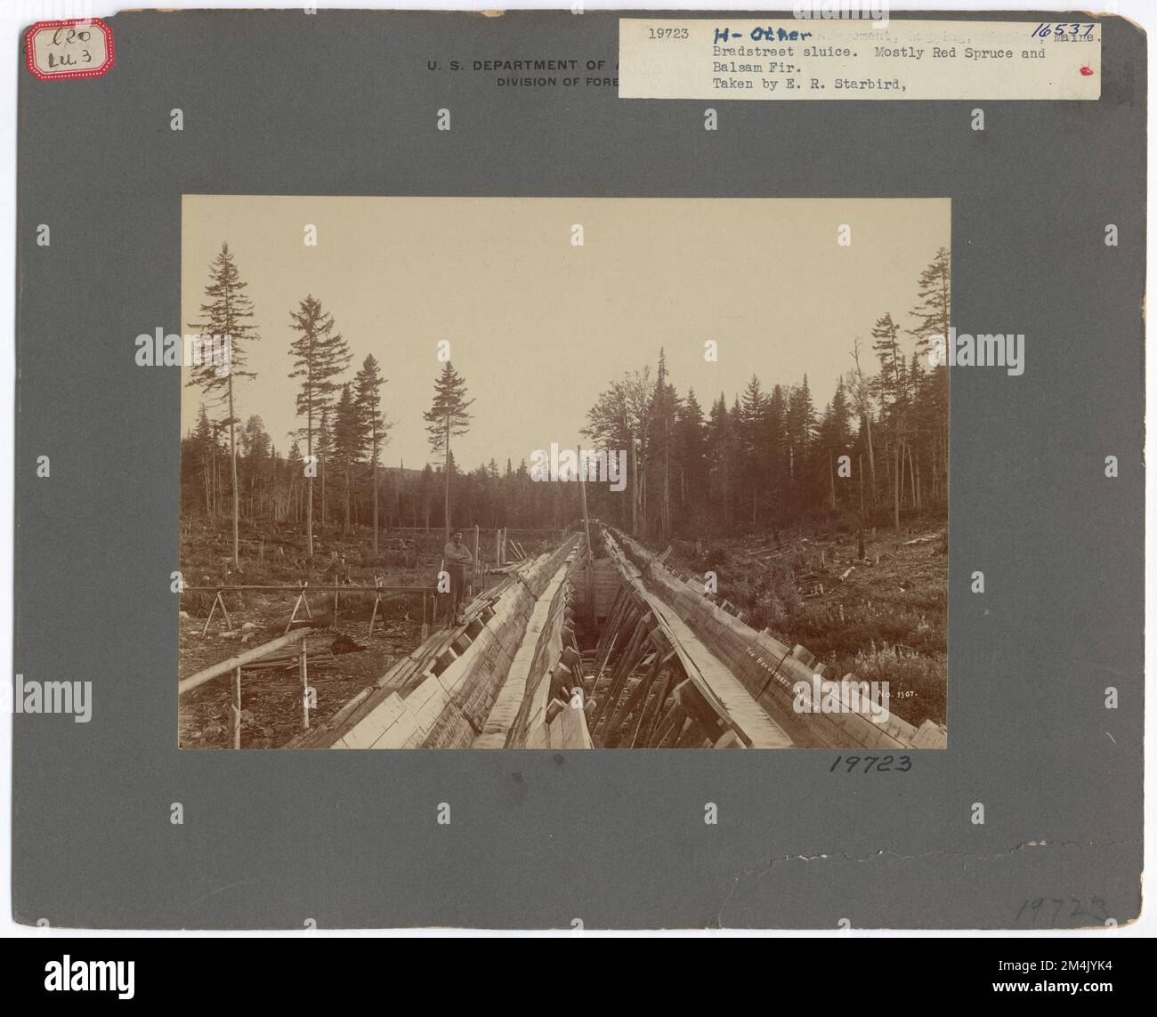 Monumenti storici - Generale. Fotografie relative alle foreste nazionali, alle pratiche di gestione delle risorse, al personale e alla storia culturale ed economica Foto Stock