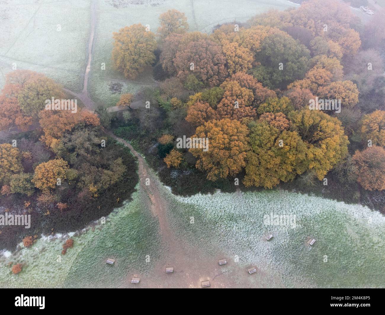 Hampstead Heath è coperto di gelo e nebbia pesante questa mattina, come visto dall'alto. Immagine scattata il 9th dicembre 2022. © Belinda Jiao jiao.bilin@gmail.co Foto Stock