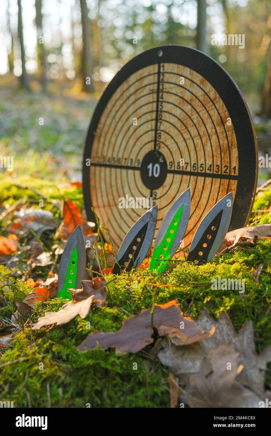 coltelli metallici per lancio. Lancio di coltelli e un obiettivo rotondo per lanciare in un soleggiato Forest.Sport e hobby. Attrezzature sportive all'aperto. Foto Stock