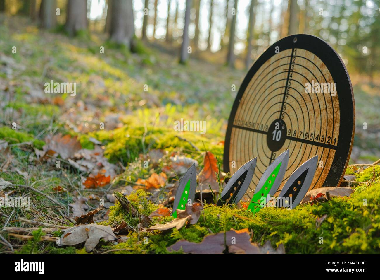 Lancio di coltelli e un bersaglio rotondo per lanciare in un Forest.Sport e hobby. Coltelli in metallo per attrezzature sportive. Foto Stock