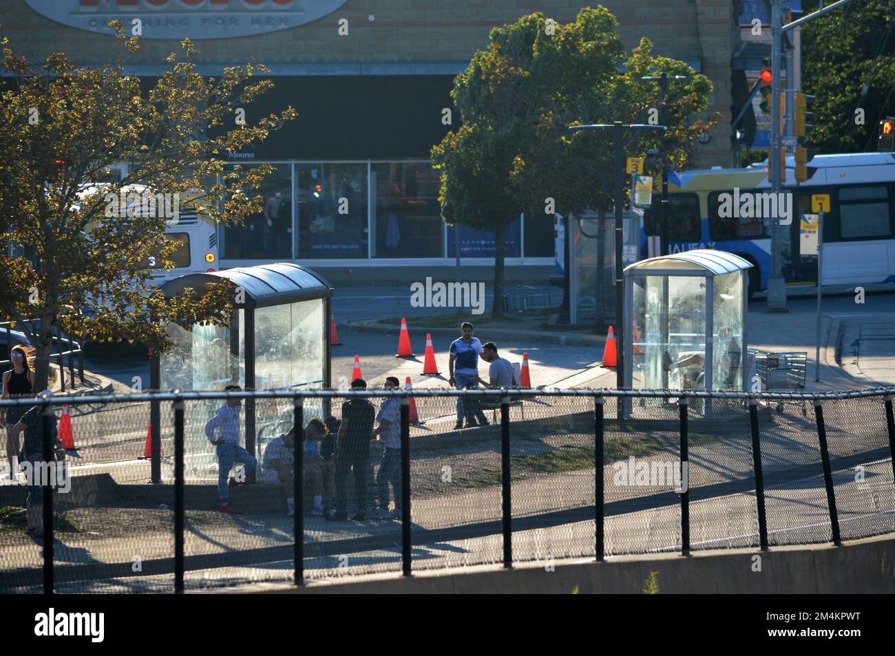 Bus shelters al Mumford Transit Terminal, una stazione degli autobus Halifax Transit a Halifax, Nuova Scozia Foto Stock