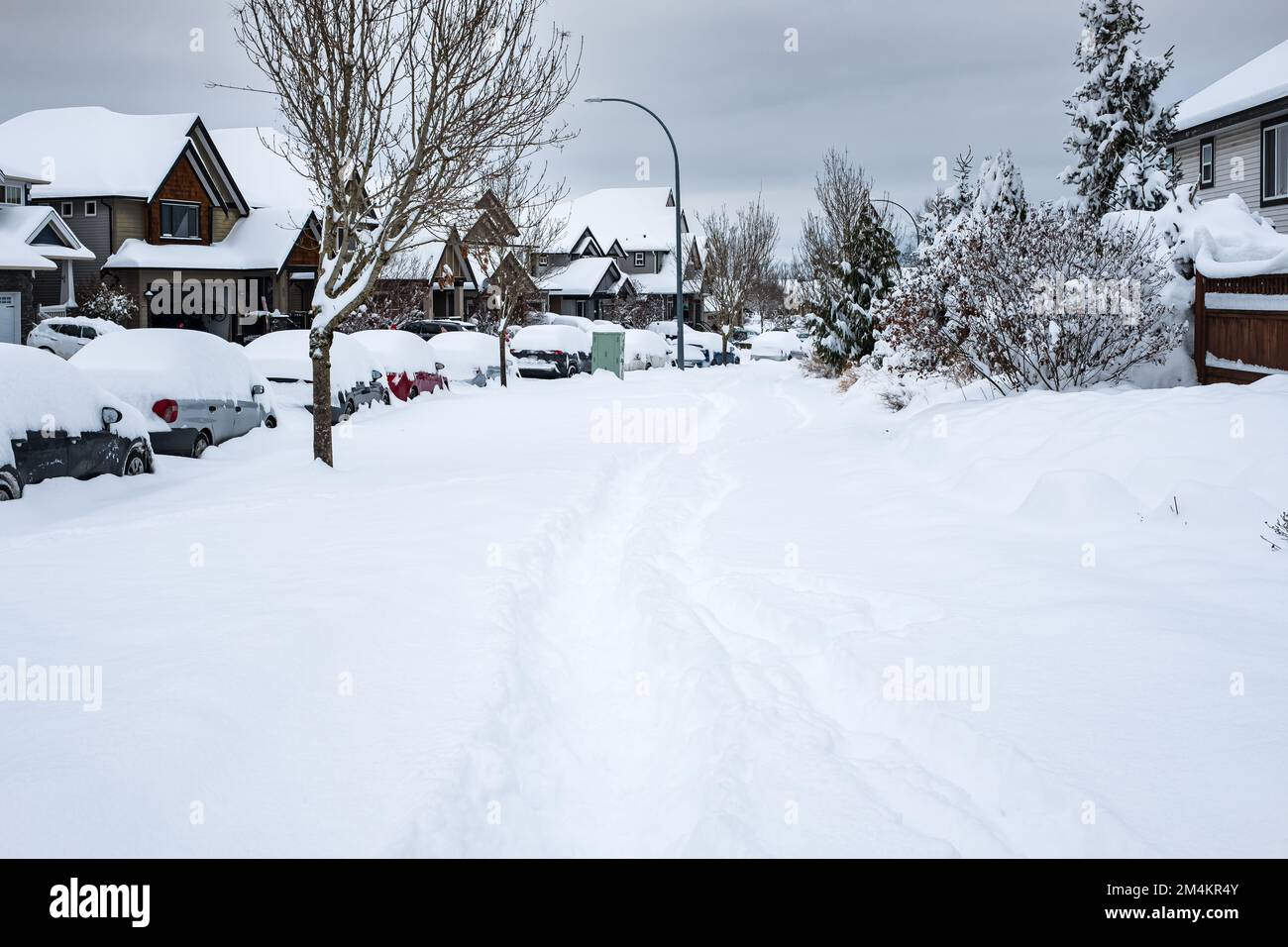 Strada della città coperta di neve durante una forte nevicata. Molta neve sul marciapiede, automobili e rami d'albero. Inverno città clima freddo neve. Area del carter i Foto Stock