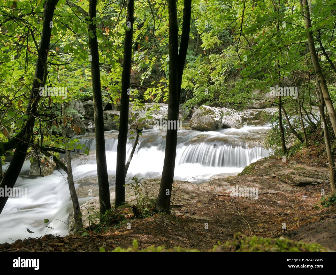 Lunga esposizione di una cascata in una foresta Foto Stock