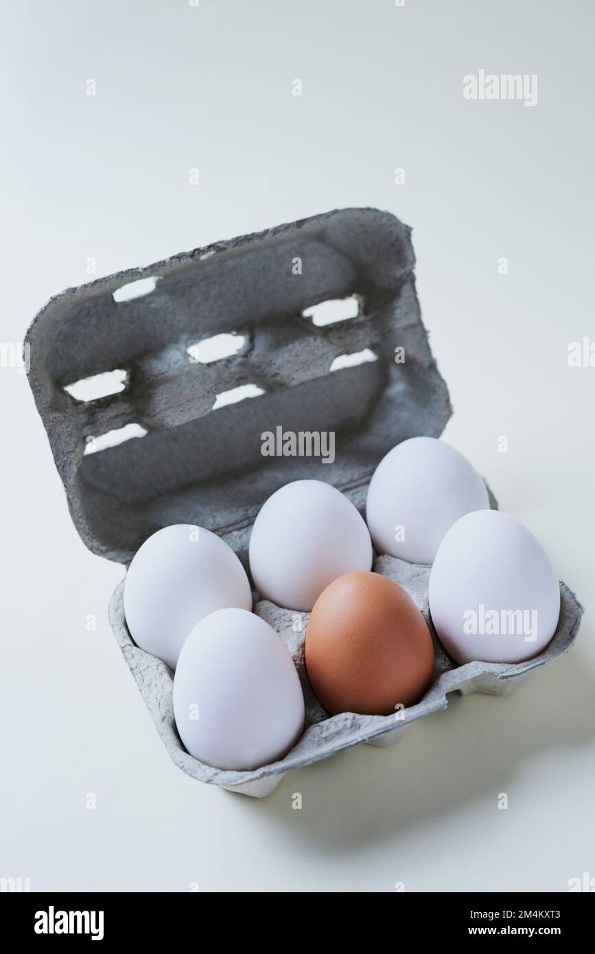 Siate unici. Studio shot di una scatola su uno sfondo grigio contenente mezza dozzina di uova con un uovo diverso dal resto. Foto Stock Siate unici. Studio shot di una scatola su uno sfondo grigio contenente mezza dozzina di uova con un uovo diverso dal resto. Foto Stock