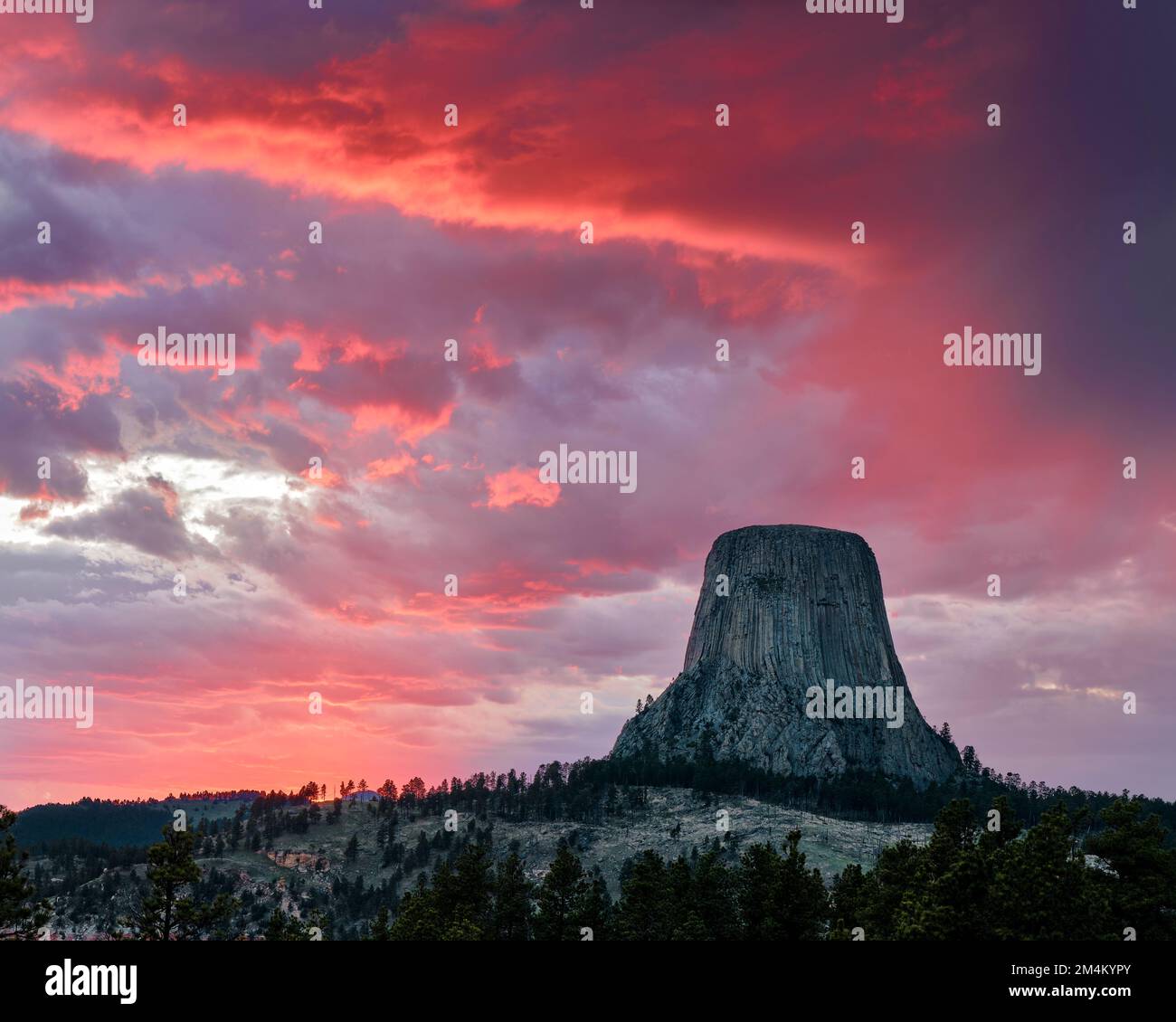 Uno splendido scenario di Devils Tower formazione rocciosa con un tramonto rosa nel cielo nuvoloso Foto Stock
