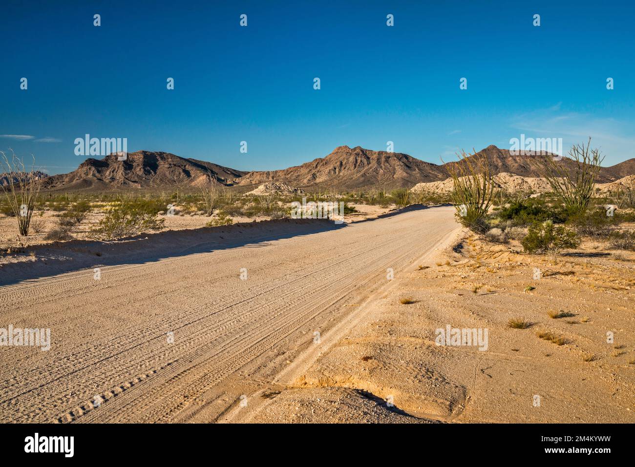 Monte Tordillo, Cabeza Prieta Mountains, Lechuguilla Desert, El Camino del Diablo, Cabeza Prieta Natl Wildlife Refuge, Arizona, Stati Uniti Foto Stock