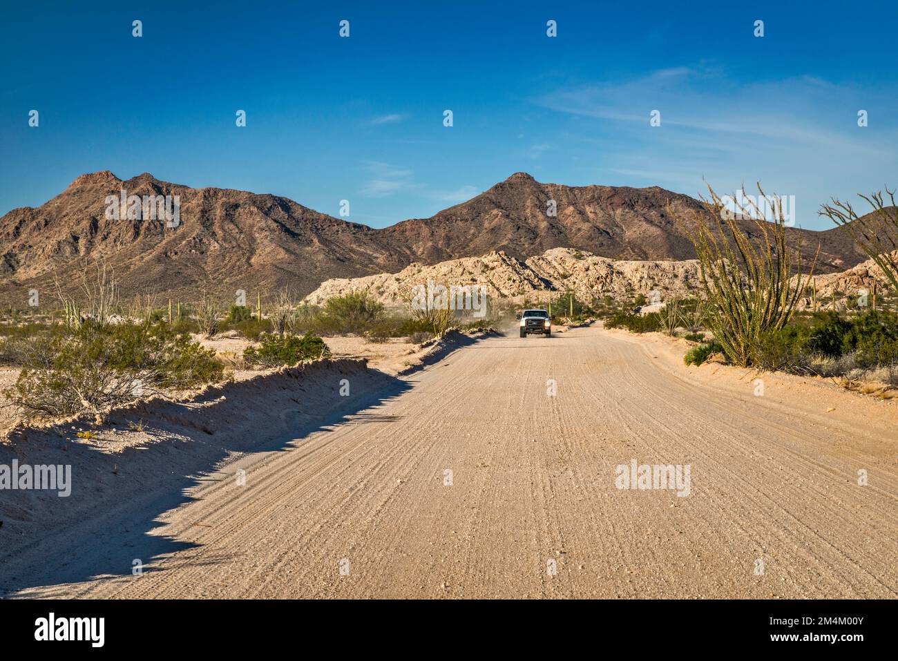 Veicolo di pattuglia di confine in dist, Tordillo Mtn, Cabeza Prieta Mtns, Lechuguilla Desert, El Camino del Diablo, Cabeza Prieta Natl Wildlife Refuge Arizona Foto Stock