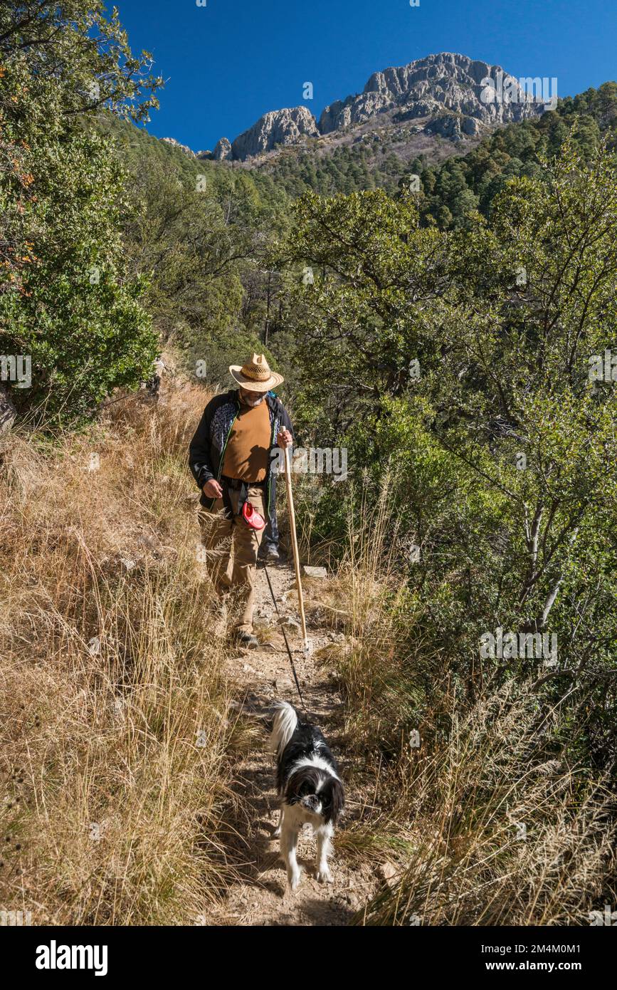 Monte Wrightson, escursionista, cane su Super Trail, sul Madera Canyon, Santa Rita Mountains, Coronado National Forest, Arizona, STATI UNITI Foto Stock