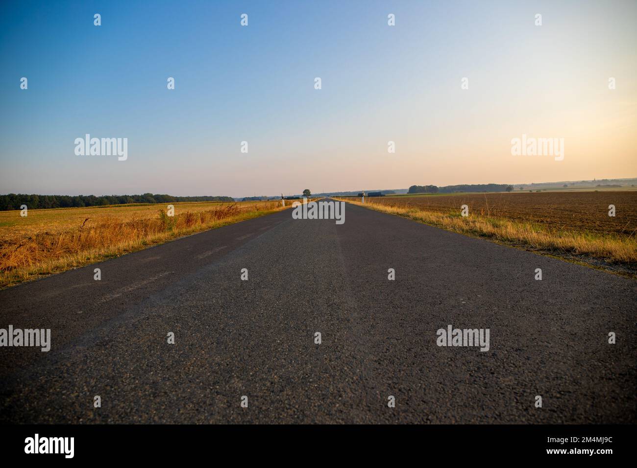 strada di campagna centrata con campi e alberi. Foto di alta qualità Foto Stock