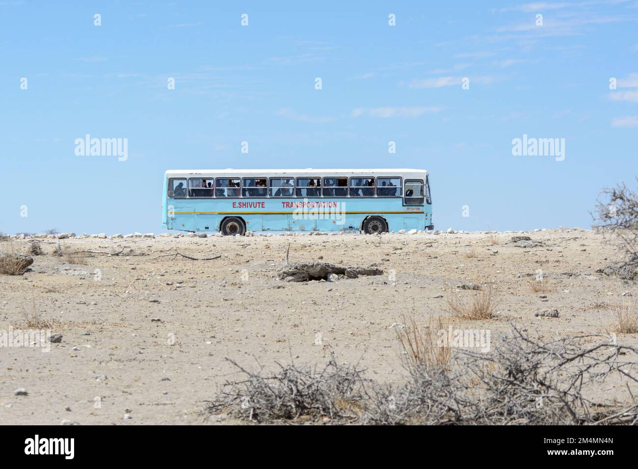Un autobus blu pieno di turisti e turisti Namibiani che si godono una gita al Parco Nazionale di Etosha per vedere la fauna selvatica, Namibia, Africa sudoccidentale Foto Stock