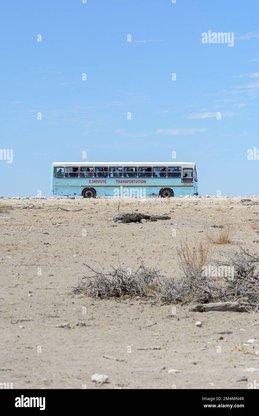 Un autobus blu pieno di turisti e turisti Namibiani che si godono una gita al Parco Nazionale di Etosha per vedere la fauna selvatica, Namibia, Africa sudoccidentale Foto Stock