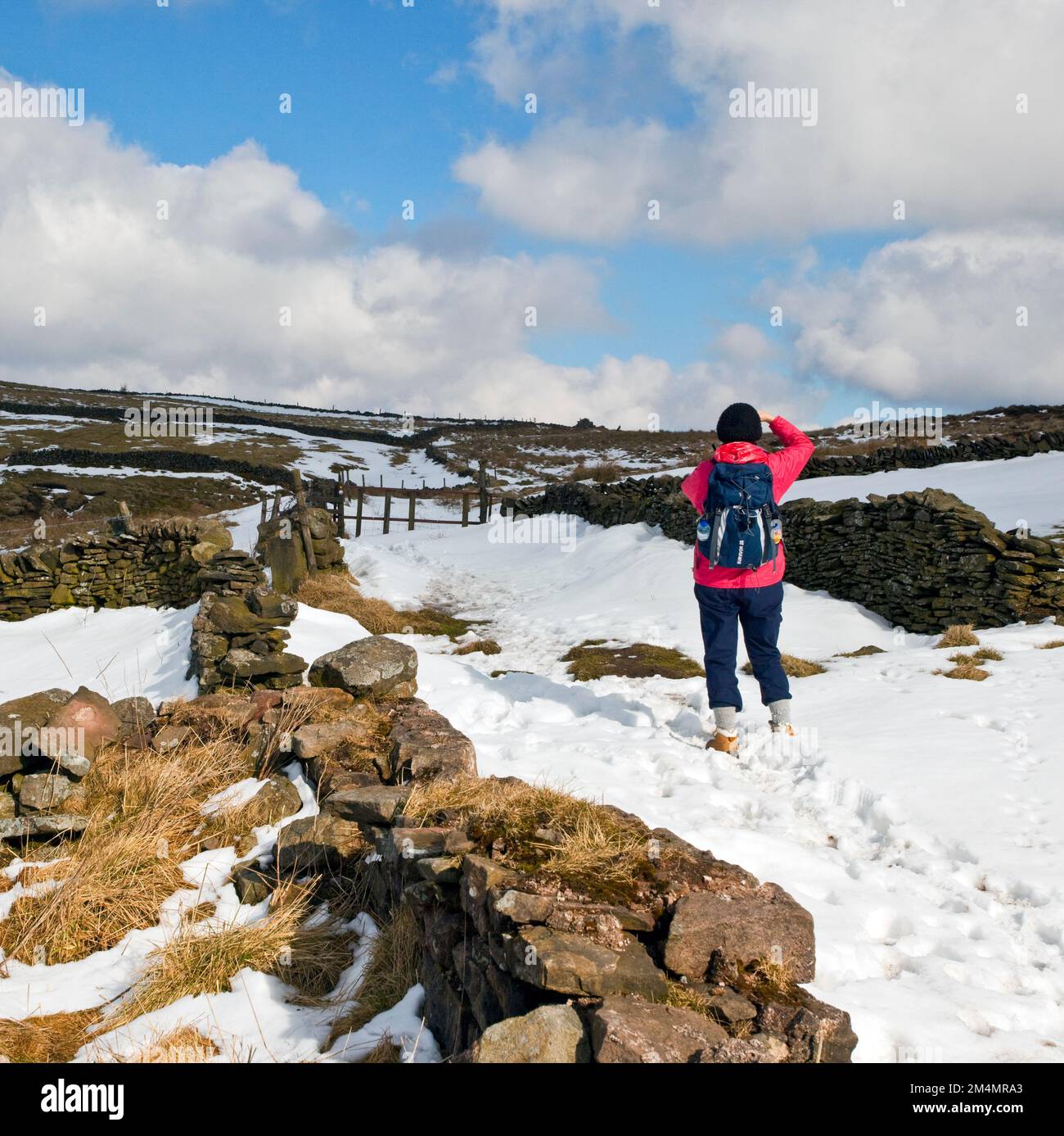 Inverno sul Peak District National Park Staffordshire Moorlands Inghilterra Regno Unito Foto Stock