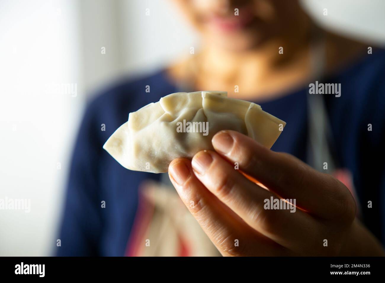 Gyozas, gnocchi giapponesi. Le gyozas tradizionali sono riempite con carne e verdure macinate, ma possiamo anche trovarle con gamberi o verdure. Foto Stock