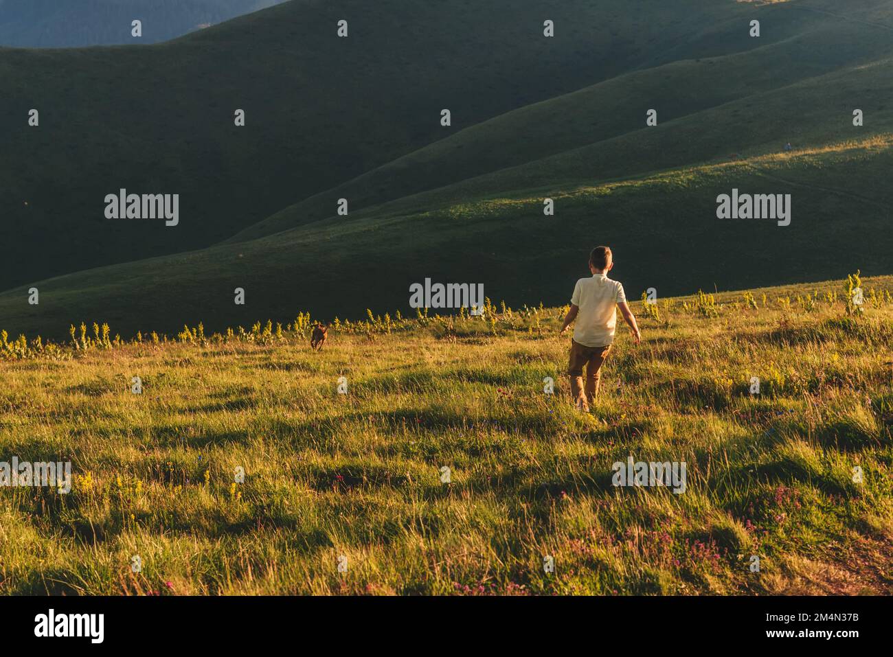 Ragazzo con Vizsla Dog che corre in discesa in montagna Foto Stock