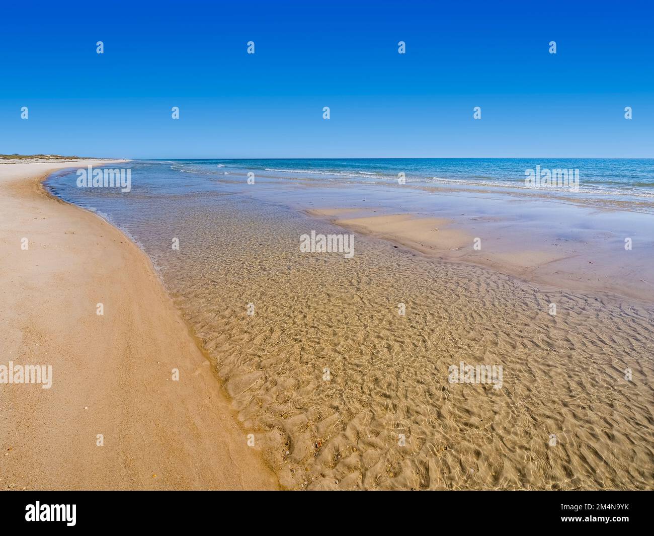 Calmo cielo blu giorno d'estate sulla spiaggia del Golfo del Messico sull'Isola di St George nel panhandle o Forgotten Coast area della Florida negli Stati Uniti Foto Stock