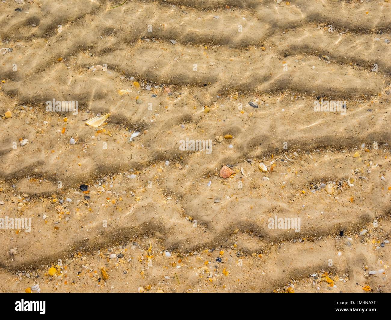 Increspature nella sabbia sulla spiaggia del Golfo del Messico sull'isola di St George nella zona di Forgotten Coast o Panhandle della Florida negli Stati Uniti Foto Stock