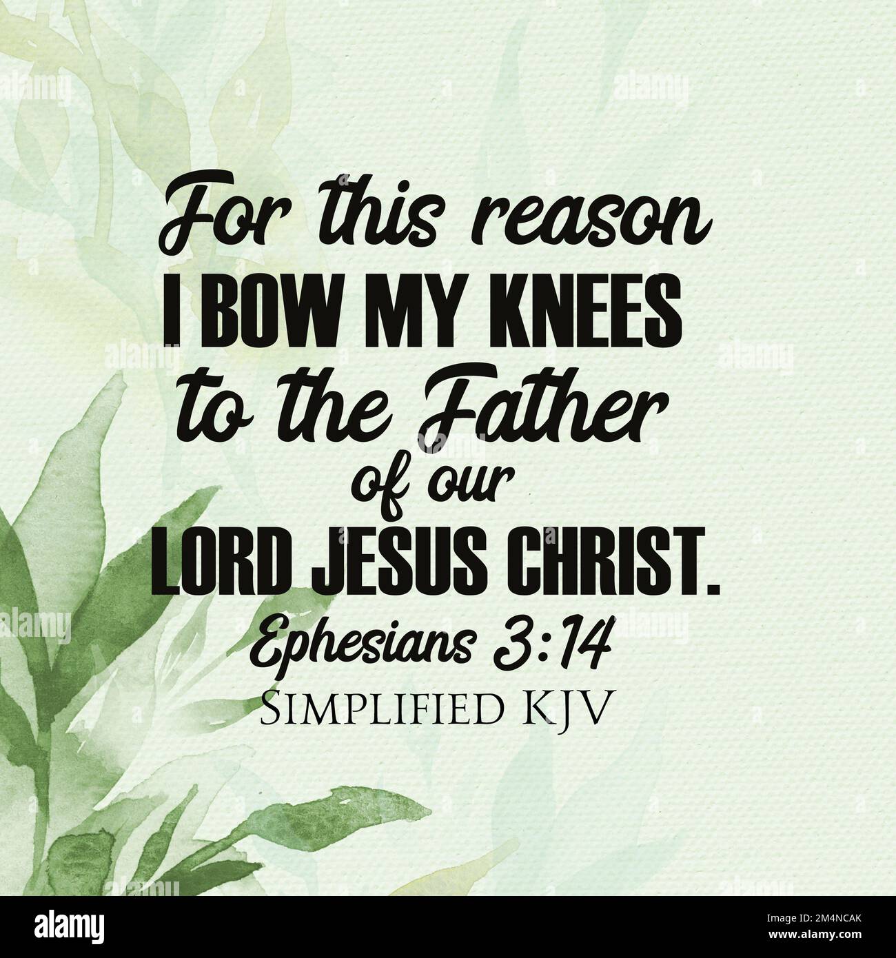 Efesini 1:3:14 per questo inchino le ginocchia al Padre del Signore nostro Gesù Cristo Foto Stock