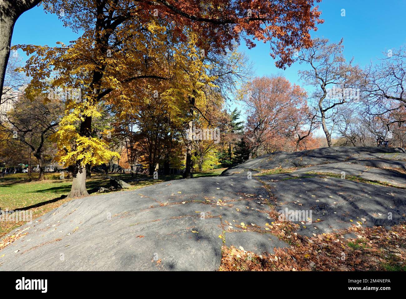 Autunno a Central Park di New York Foto Stock