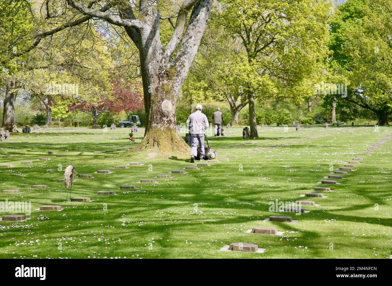 Una vista dei giardinieri occupati al cimitero di guerra militare tedesco, Chapelle-en-Juger, Marigny, Normandia, Francia, Europa Foto Stock