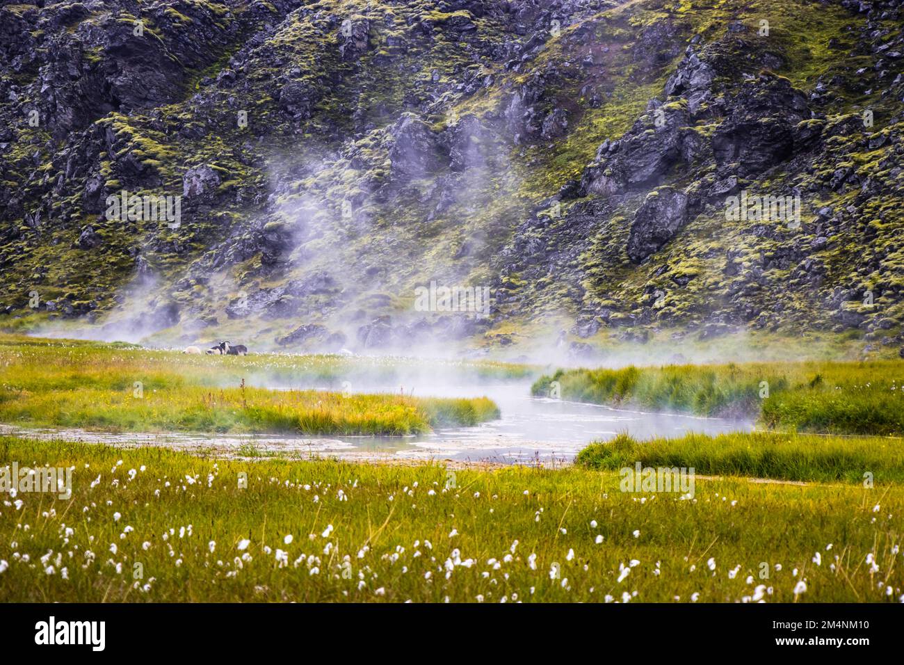 Landmannalaugar nelle Highlands dell'Islanda Area geotermica con Green Mountains Foto Stock