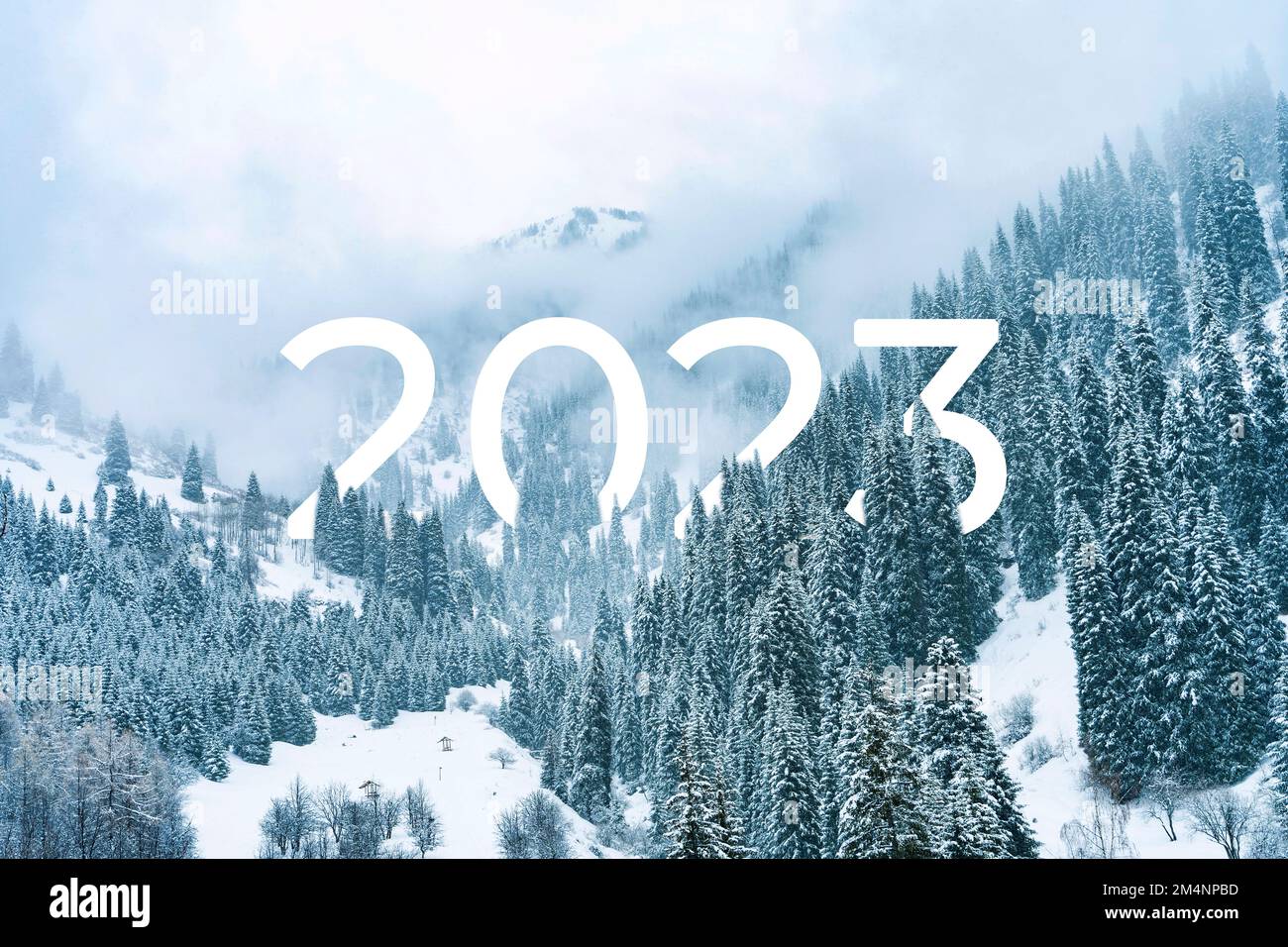 Testo 2023 nella foresta coperta di neve in inverno in montagna durante nevicate e nebbia. Nuovo anno 2023 in natura. Foto Stock