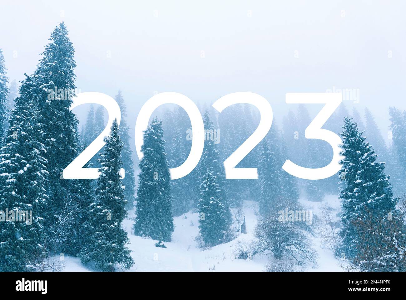 Testo 2023 nella foresta coperta di neve in inverno in montagna durante nevicate e nebbia. Nuovo anno 2023 in natura. Foto Stock