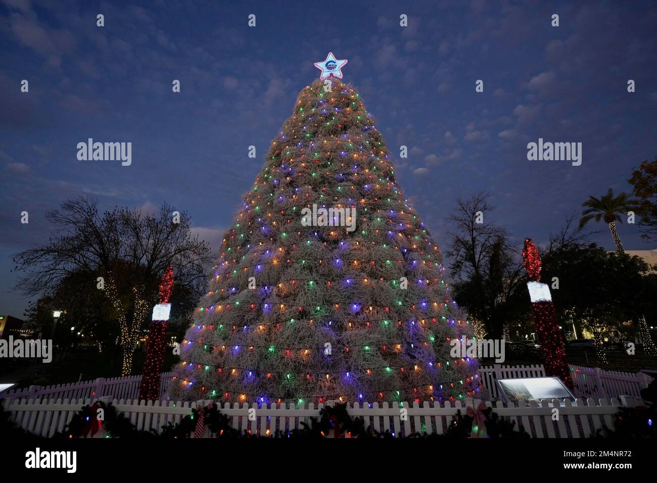 Un albero di Natale fatto di tumbleweed avvolto in luci colorate e sormontato da una stella. Foto Stock