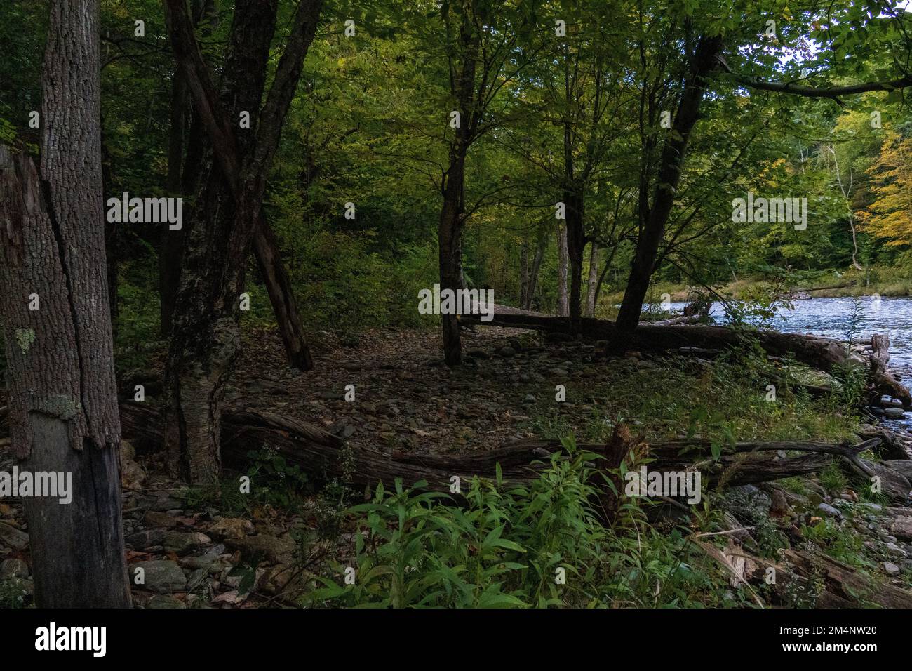 Un paesaggio del fiume Deerfield con alberi e foglie autunnali nel Massachussett Foto Stock