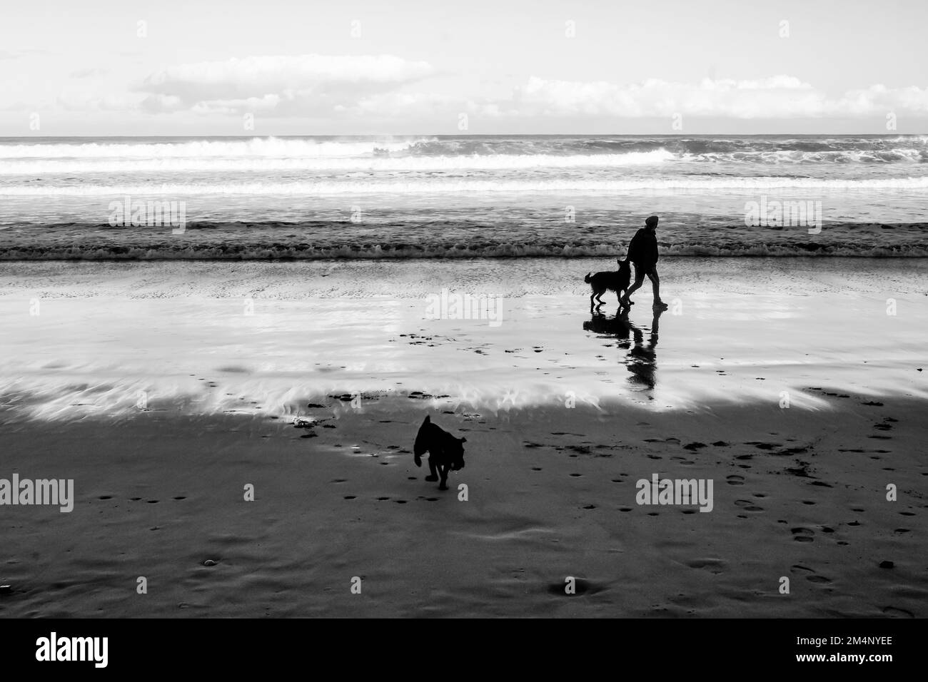 Una vista ampia di un uomo che cammina con i suoi cani sulla spiaggia di San Lorenzo, Gijon, Asturie Spagna. Foto Stock