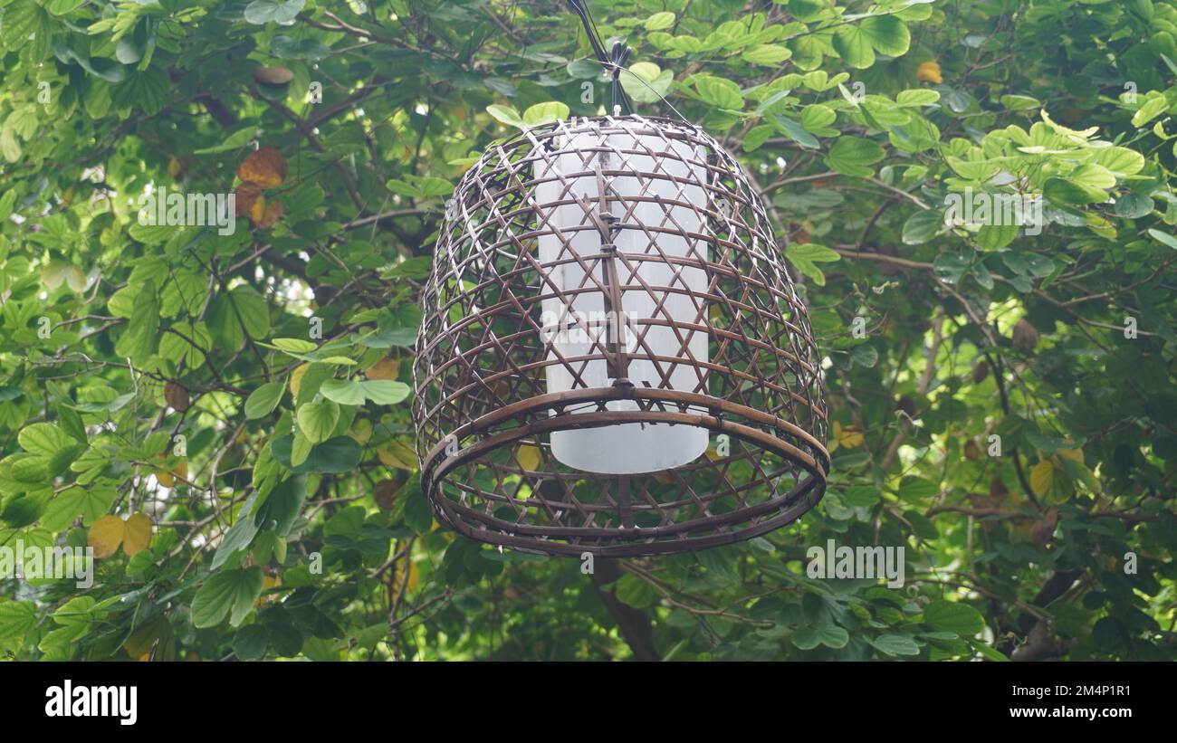 Lampada di lampione dalla copertura tessuta di bambù appesa nell'albero al giardino pubblico del parco Foto Stock