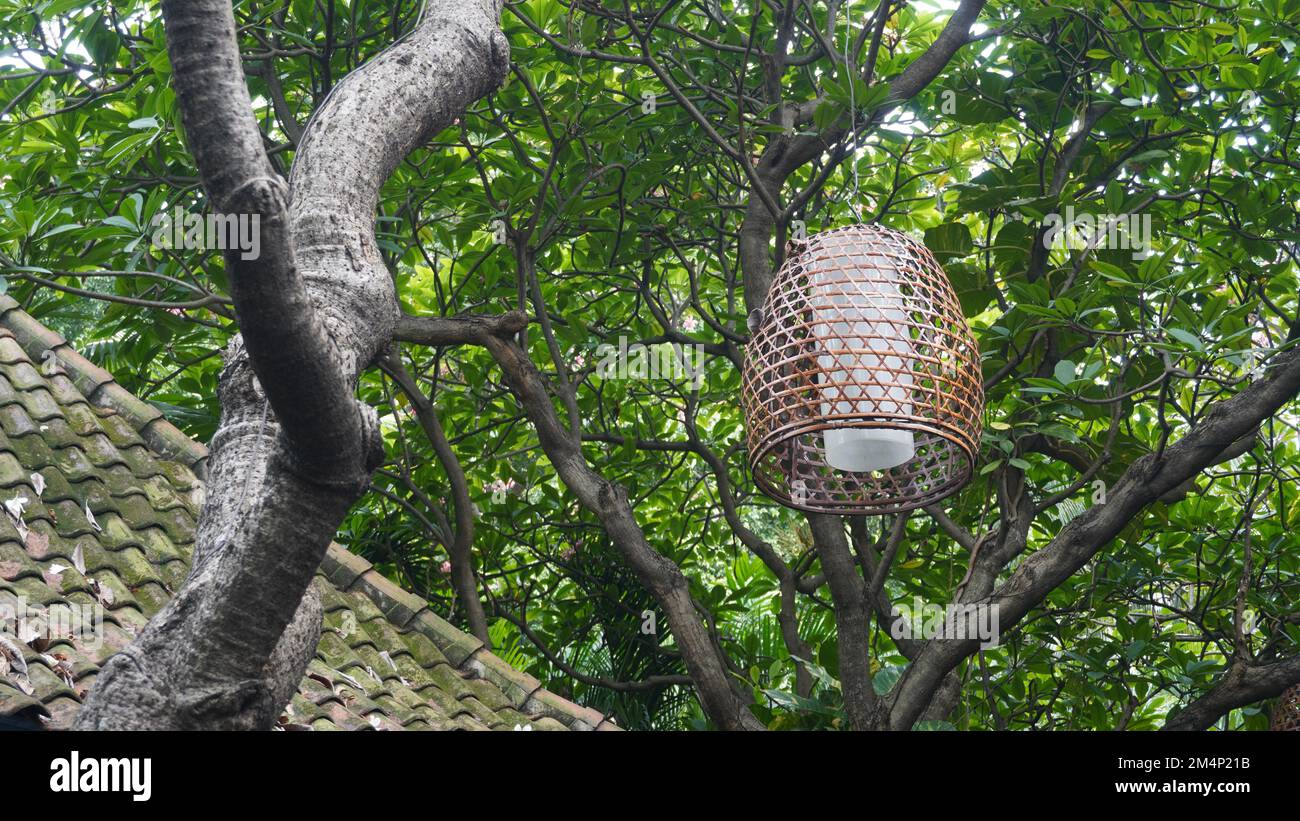 Lampada di lampione dalla copertura tessuta di bambù appesa nell'albero al giardino pubblico del parco Foto Stock