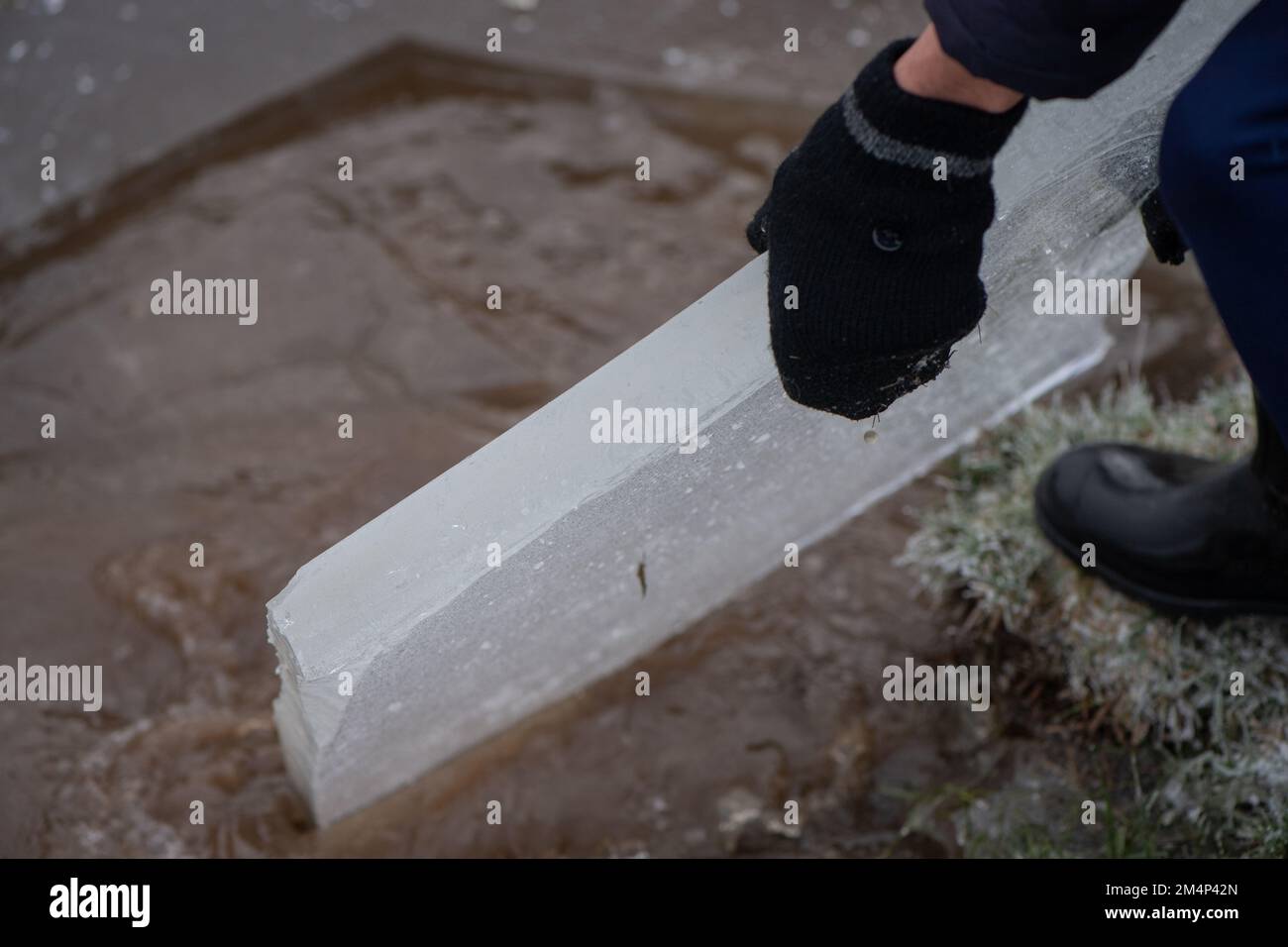 Un ragazzo adolescente rimuove un pezzo di ghiaccio spesso da un lago ghiacciato durante il recente clima freddo nella nuova foresta Hampshire Regno Unito. Foto Stock