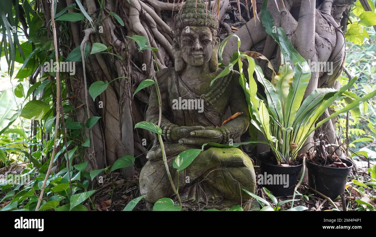 Tranquillo parco pubblico con statua giavanese su un enorme vecchio albero. Ambiente verde adatto per il relax e la meditazione Foto Stock Tranquillo parco pubblico con statua giavanese su un enorme vecchio albero. Ambiente verde adatto per il relax e la meditazione Foto Stock