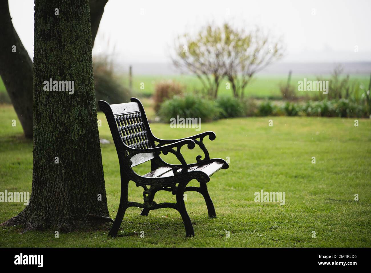 Una piccola panca nel giardino dove il mio nonno si sedesse. Le forti ombre e la giornata di coperto portano un po' di dramma all'immagine che trovo adatta. Foto Stock
