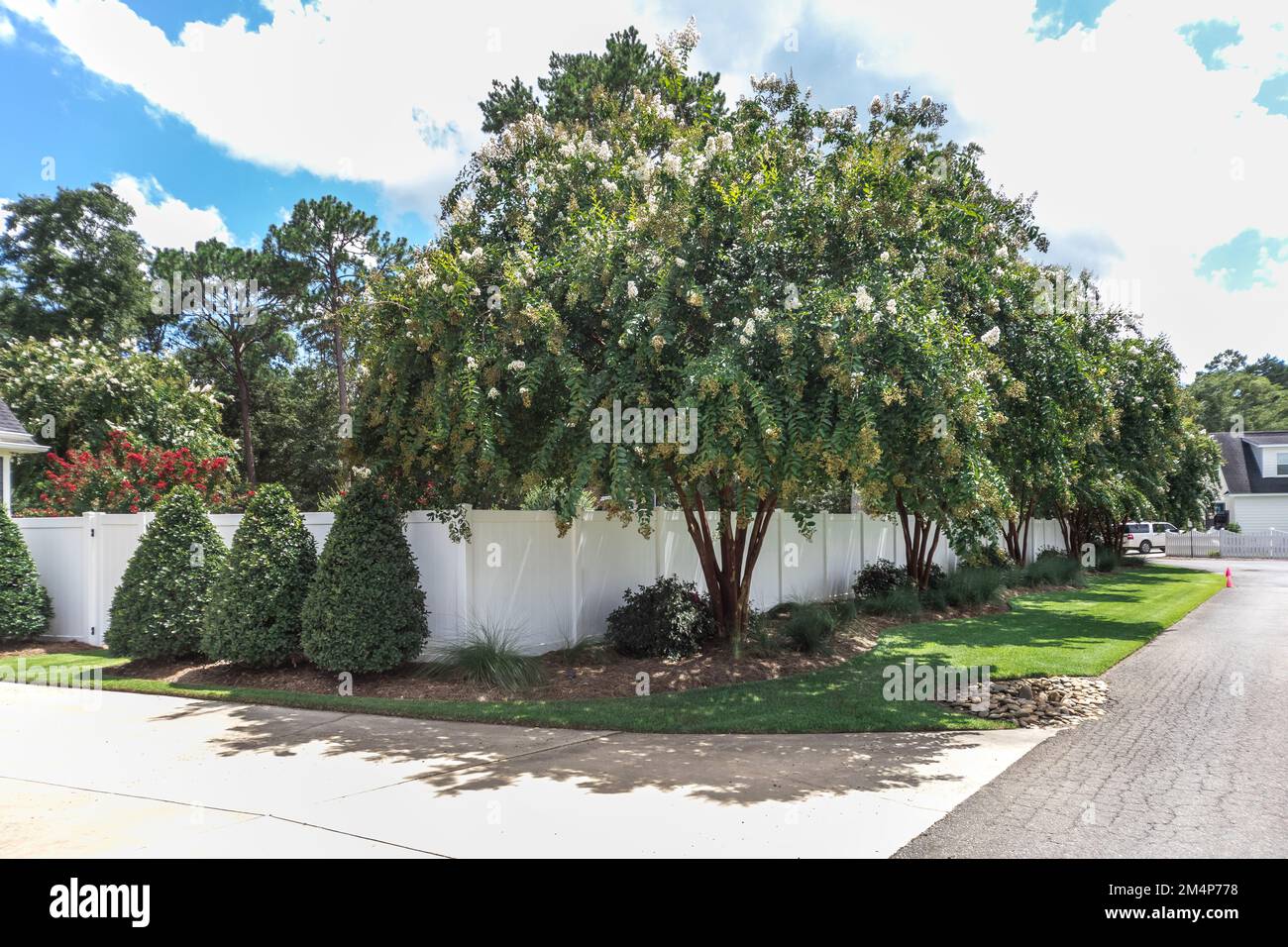 Primo piano immagine di un albero paesaggistico e arbusti intorno a una recinzione in pvc bianco che racchiude un grande cortile Foto Stock