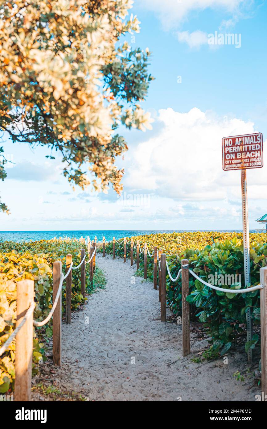 Sentiero di sabbia per la spiaggia in Florida Foto Stock