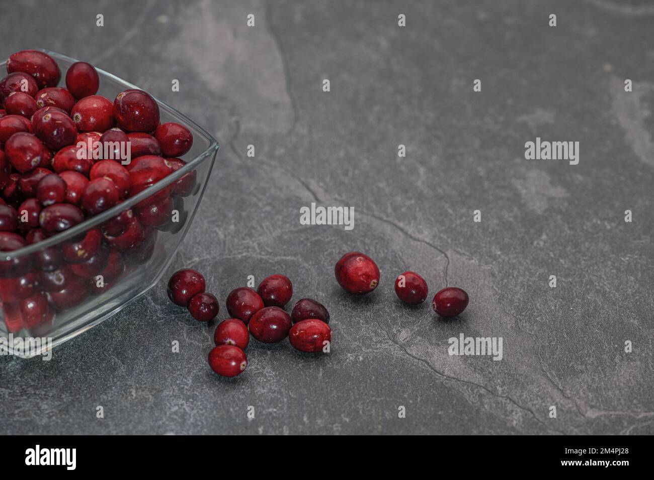 Ciotola di mirtilli rossi su un piano di lavoro della cucina. Foto Stock