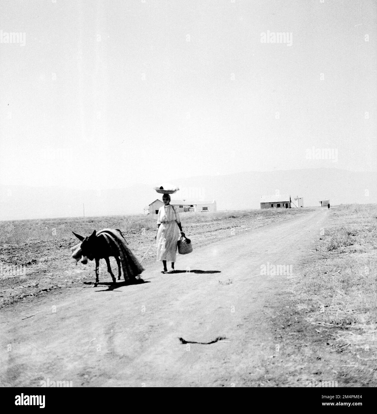 Agricoltura marocchina. Fotografie dei programmi di Marshall Plan, mostre e personale Foto Stock
