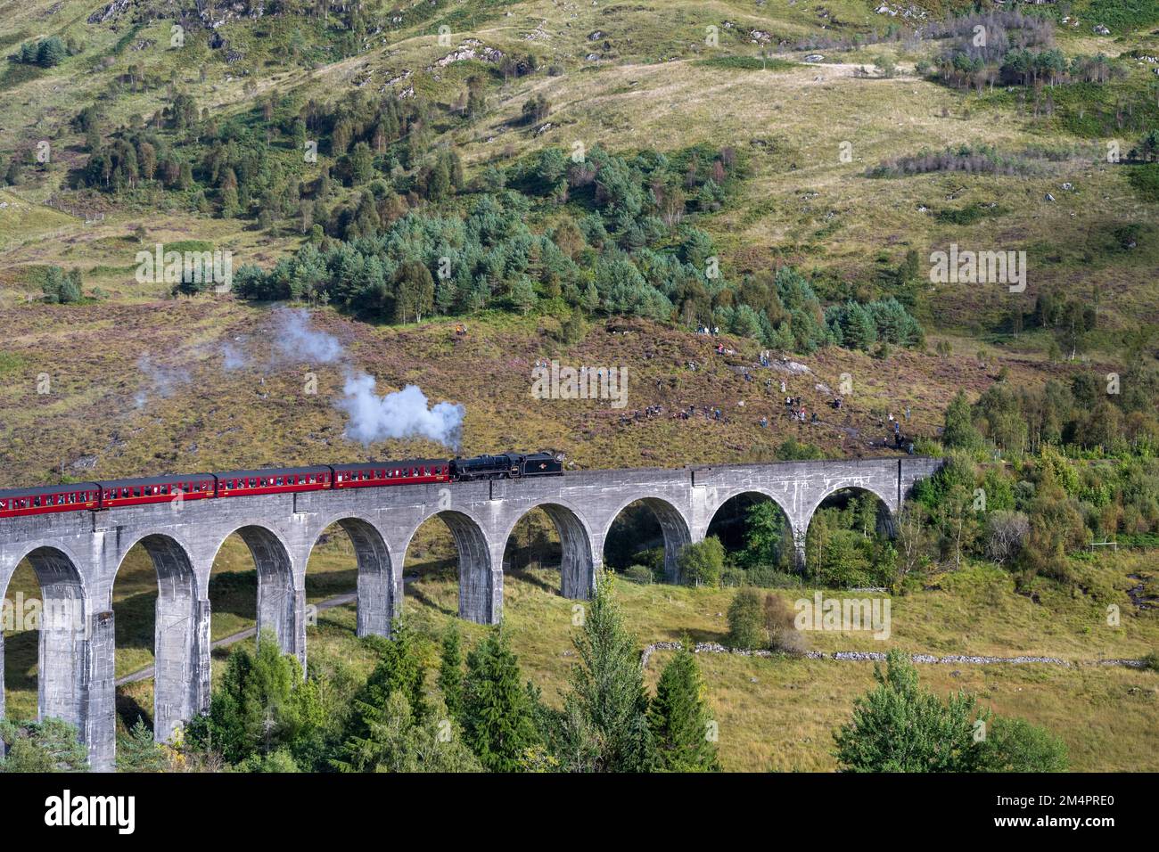 Glenfinnan Viadotto dalle pellicole di Harry Potter con locomotiva a vapore, treno a vapore Jacobite, Jacobite Express, Glenfinnan, Scozia, Gran Bretagna Foto Stock