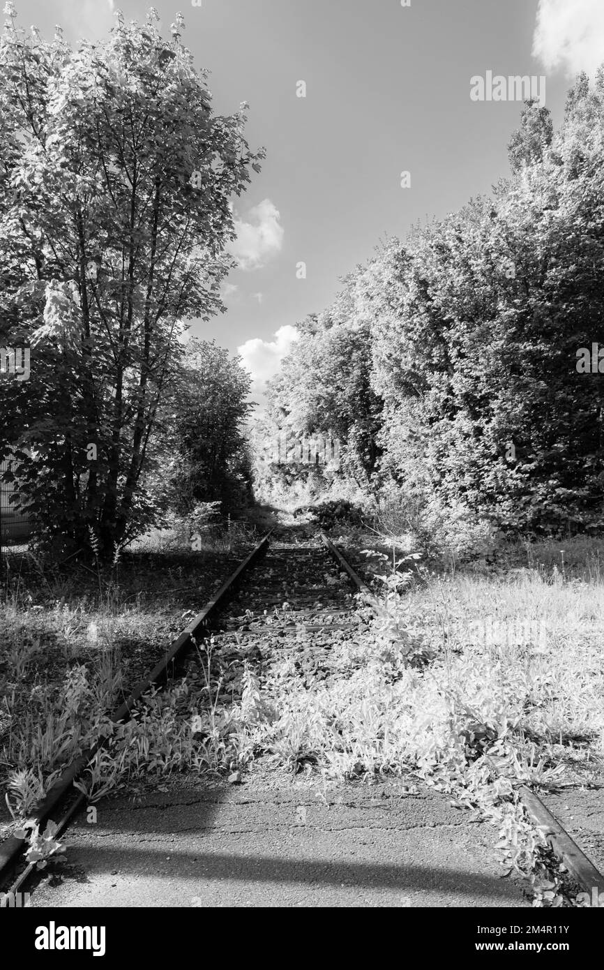 La fotografia mostra una linea ferroviaria in disuso a infrarossi, che attraversa uno swathe di alberi verdi e arbusti in lontananza. Le rotaie sono arrugginite. Foto Stock
