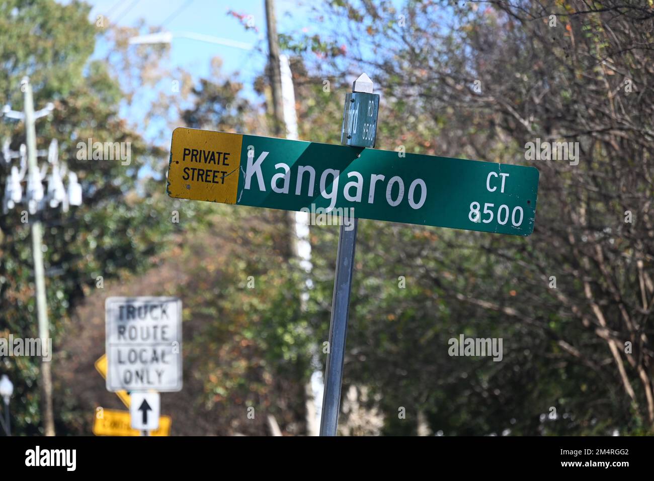Primo piano del cartello Kangaroo Court Road a Raleigh, North Carolina. Foto Stock