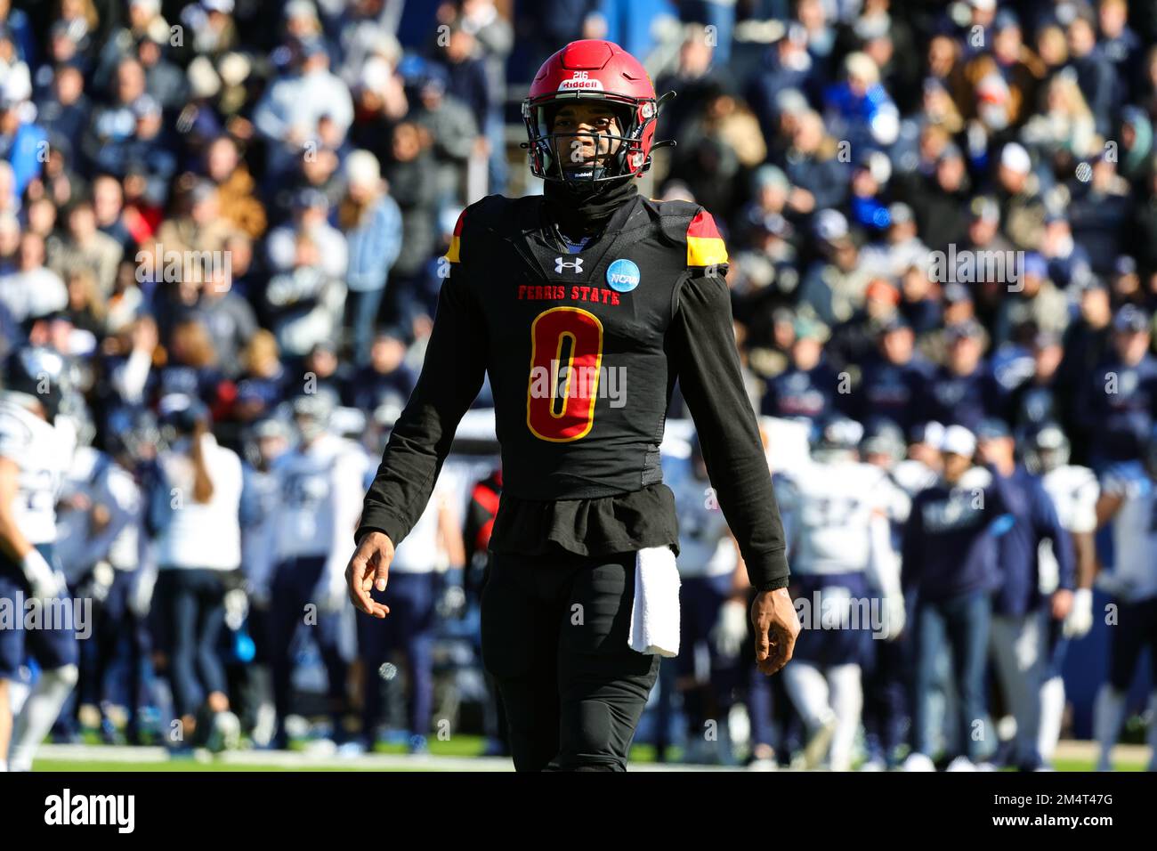 Ferris state Bulldogs quarterback Mylik Mitchell (0) durante il primo trimestre del campionato nazionale di calcio universitario della divisione II dell'NCAA, AT Foto Stock