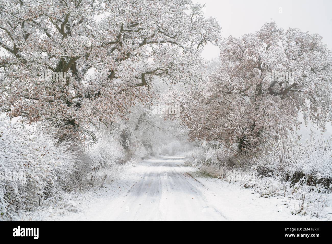 Campagna del Warwickshire nella neve d'inverno. Cotswolds, Warwickshire, Inghilterra Foto Stock