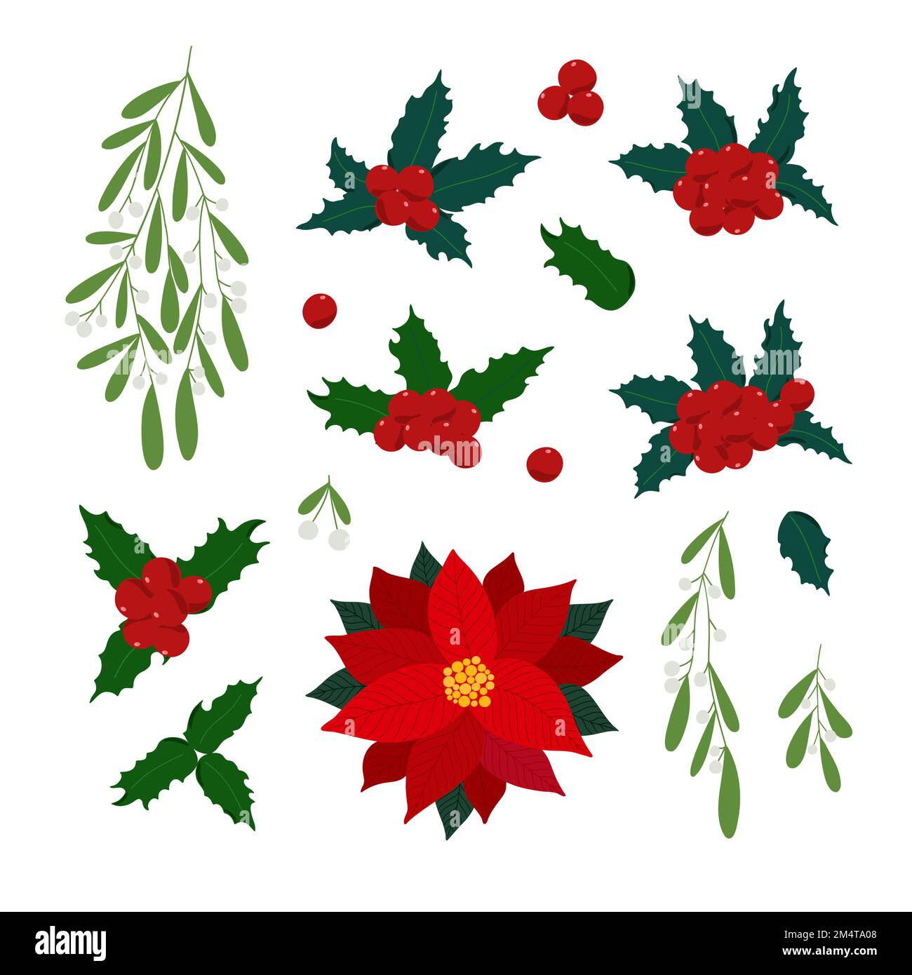 Piante di Natale insieme agrifoglio, poinsettia fiore, mistletoe, foglie verdi, bacche clipart per l'arredamento casa, festa ornamento di festa, vettore di illustrazione per il biglietto di auguri di stagione, invito, poster Illustrazione Vettoriale