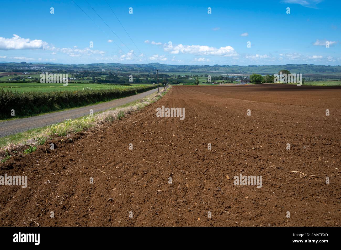 Terreno fertile in campo a Pukekohe, una zona mercato giardinaggio a sud di Auckland, Isola del Nord, Nuova Zelanda Foto Stock