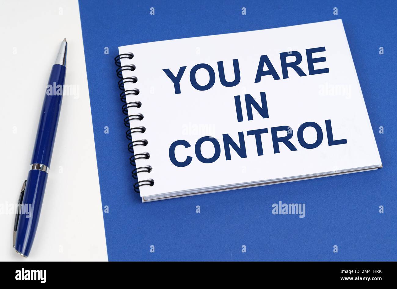 Concetto di business e finanza. Su una superficie blu-bianca si trovano una penna e un notebook con l'iscrizione - sei in controllo Foto Stock