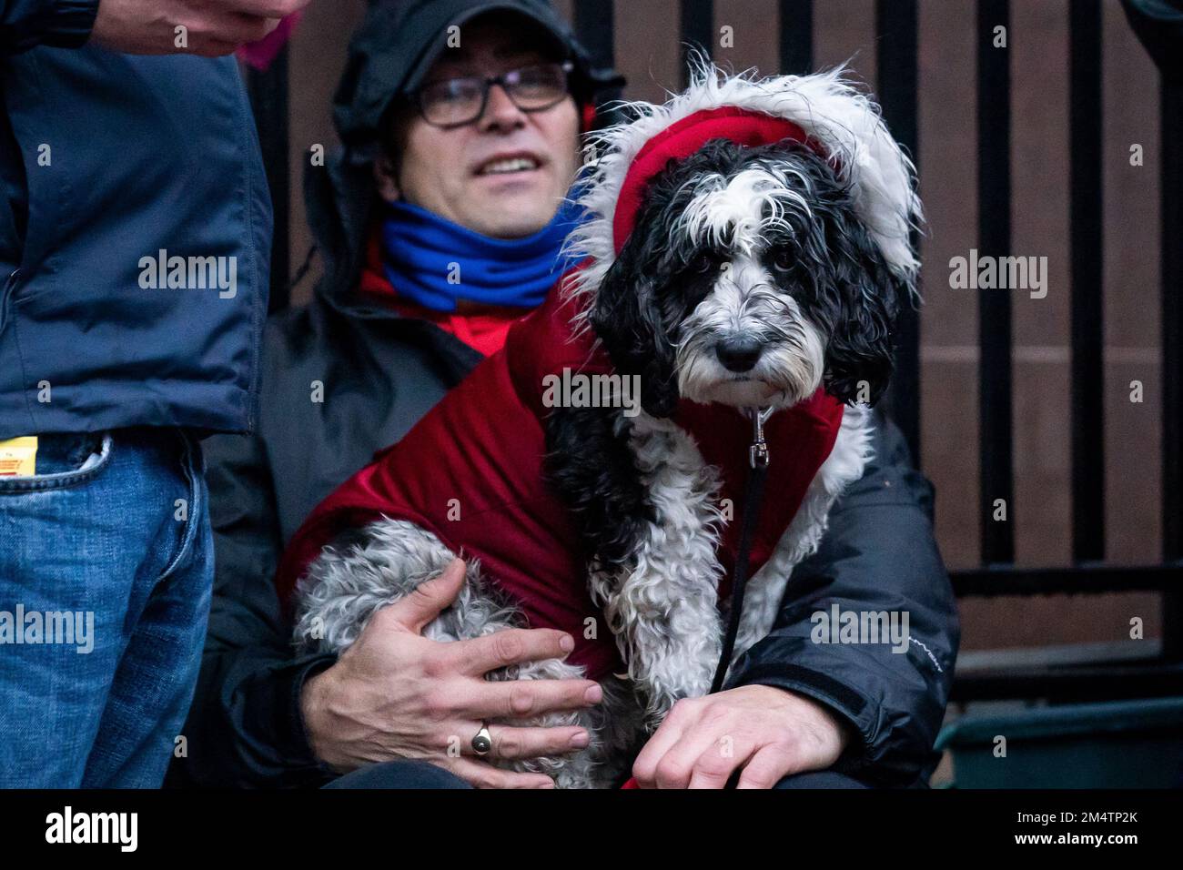 Un membro della Communication Workers Union (CWU) con il suo cane sulla linea del picket fuori dal Mount Pleasant Mail Centre a Farringdon, mentre i Royal Mail lavoratori palcoscenico scioperi freschi nei giorni prima di Natale nella sempre più aspra disputa su posti di lavoro, retribuzioni e condizioni. Data immagine: Venerdì 23 dicembre 2022. Foto Stock